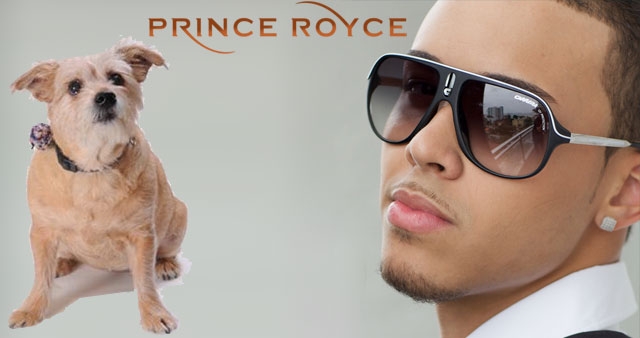 PRINCE ROYCE
