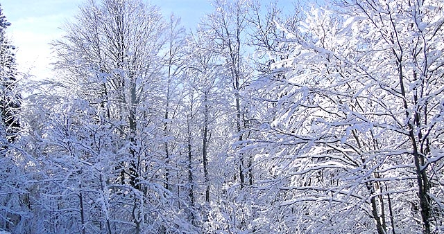 PREALPES FRANCESES