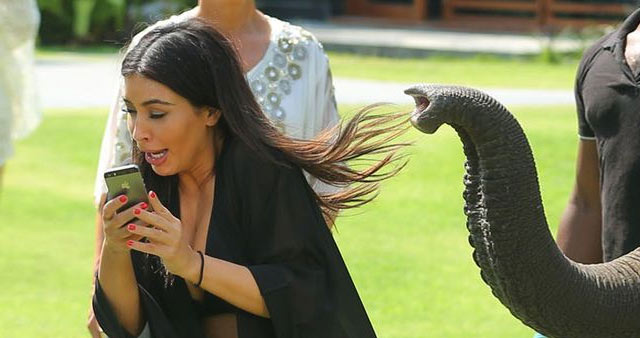 Kim Kardashian y el Elefante