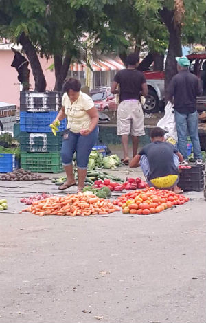 puerto-plata-mercado3